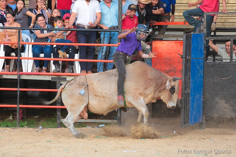 TOROS